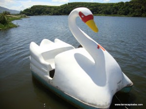 foto 06